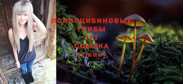 молекула духа Абинск