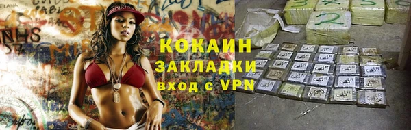 соль ск Семёнов