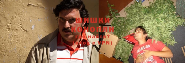 винт Абаза