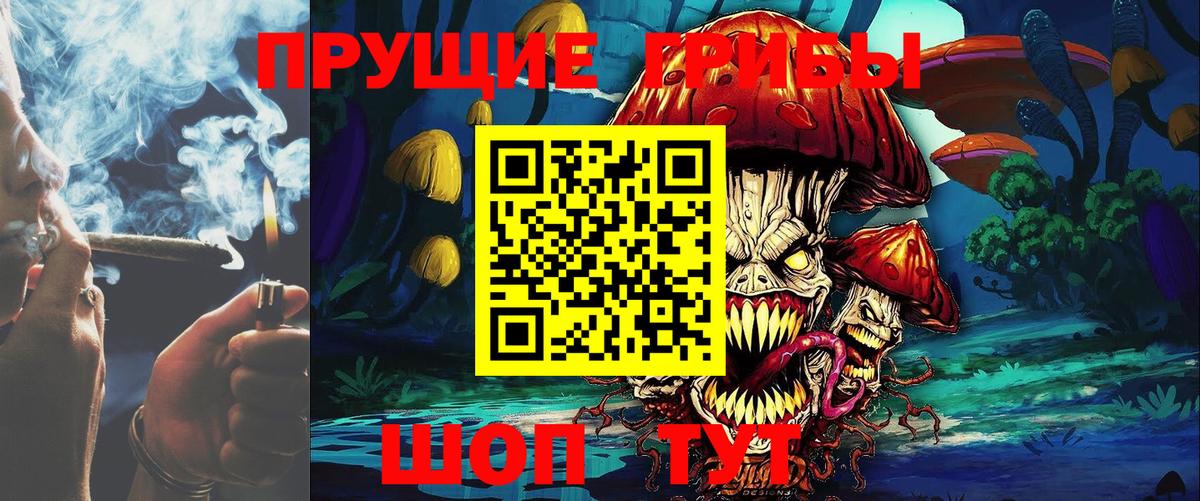 Галлюциногенные грибы мухоморы Губкин