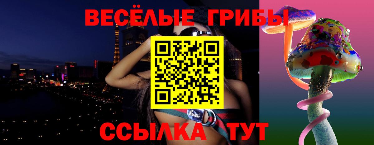 Губкин  Галлюциногенные грибы прущие грибы  Вход с VPN 